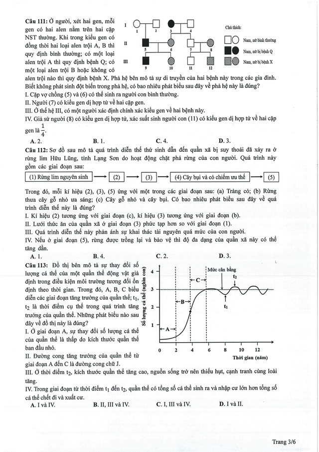 Đề minh hoạ sinh 2024