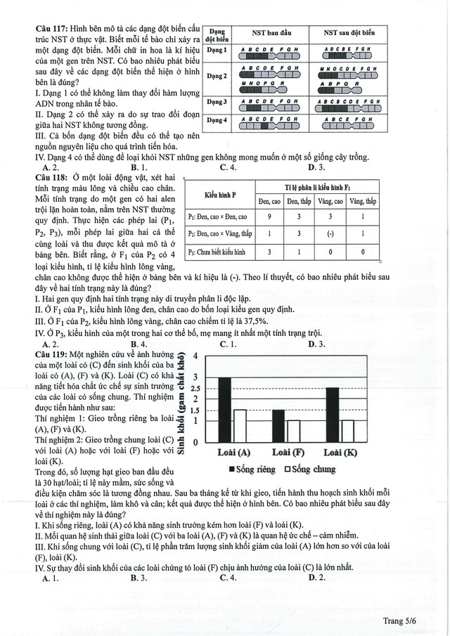 Đề minh hoạ sinh 2024