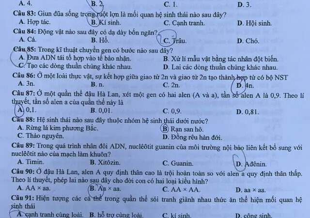 Bộ đề Sinh THPT Quốc gia 2023 (kèm lời giải chi tiết)