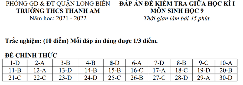 Ảnh 2