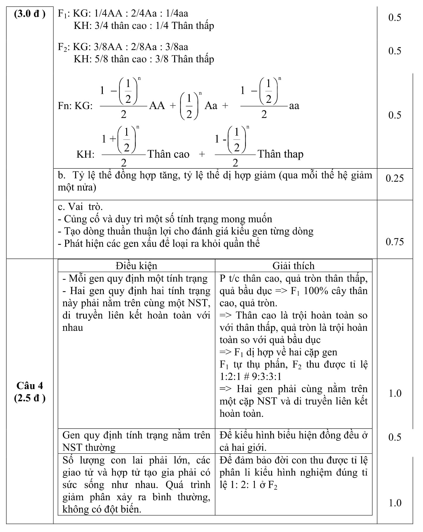 Ảnh 4