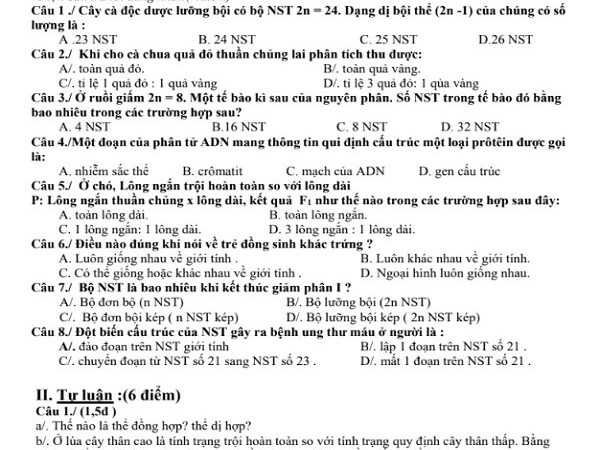 Tổng hợp đề thi Sinh 9 cuối kì 1 hay nhất (Kèm đáp án)