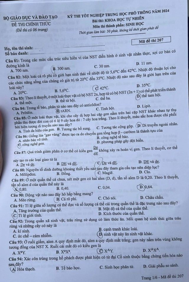 Tổng hợp đề thi Sinh THPT Quốc Gia 2024 (kèm đáp án chi tiết)