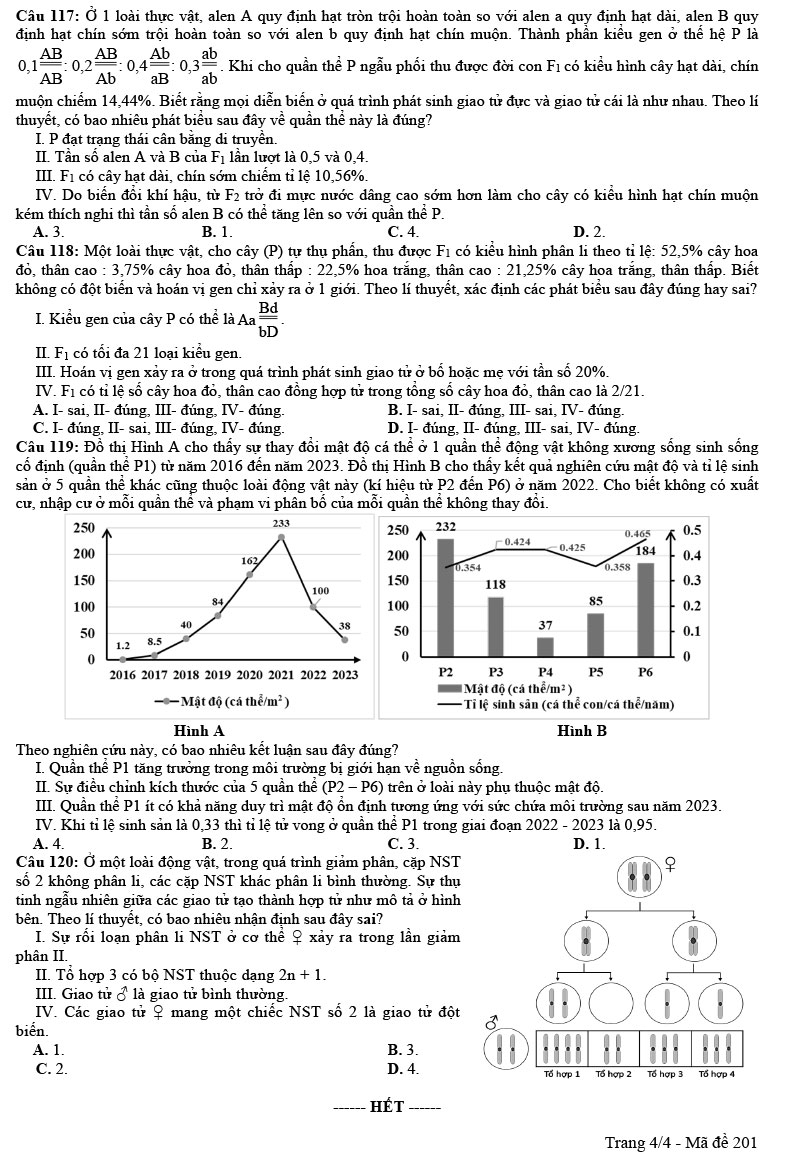 Đề thi thử môn sinh 2024