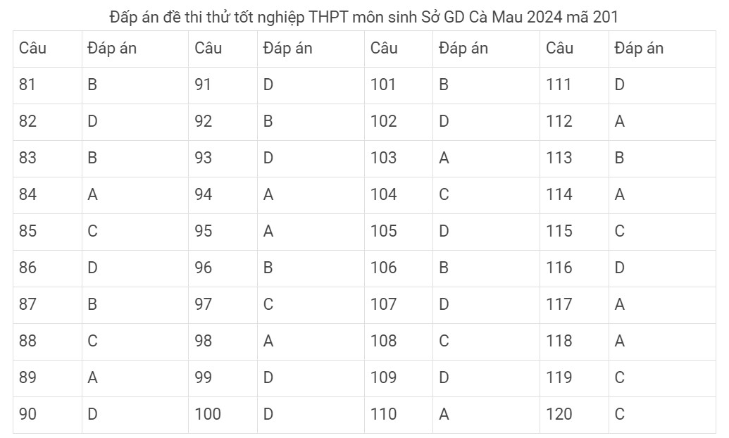 Đề thi thử môn sinh 2024