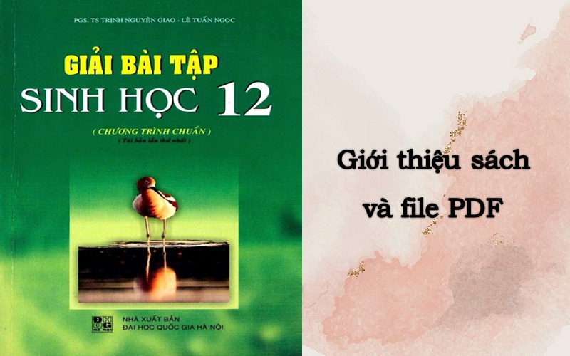 Giới thiệu sách Giải Sinh 12 đầy đủ nhất (Có file PDF)