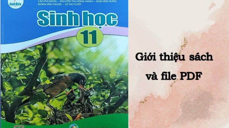 Giới thiệu sách giáo khoa Sinh 11 Cánh Diều mới nhất