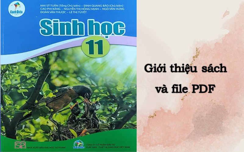 Giới thiệu sách giáo khoa Sinh 11 Cánh Diều mới nhất