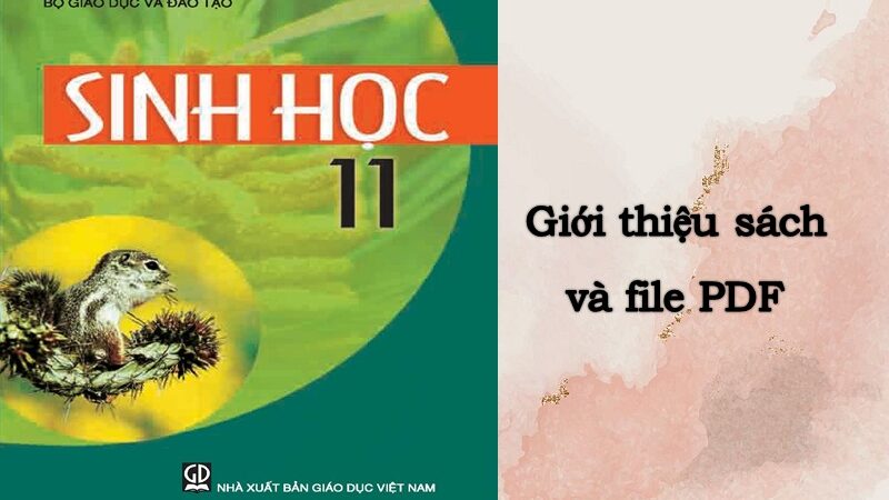 Giới thiệu sách giáo khoa Sinh 11 – NXB Giáo dục Việt Nam