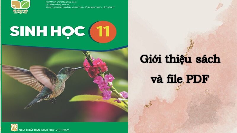 Giới thiệu sách giáo khoa Sinh 11 Kết nối tri thức và cuộc sống