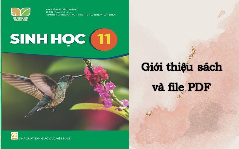 Giới thiệu sách giáo khoa Sinh 11 Kết nối tri thức và cuộc sống