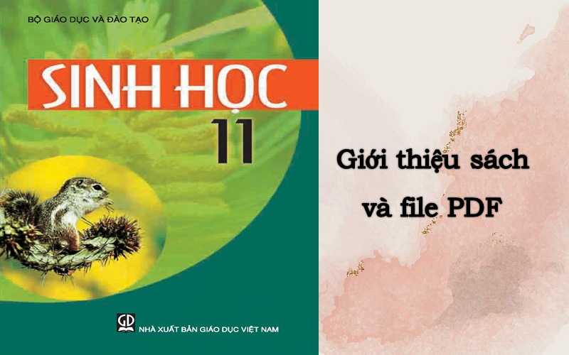 Giới thiệu sách giáo khoa Sinh 11 – NXB Giáo dục Việt Nam