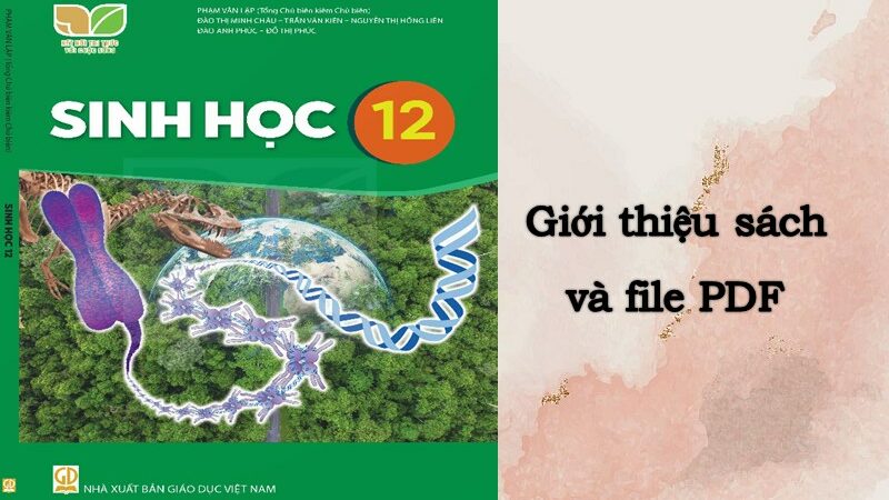 Giới thiệu sách Sinh 12 Kết nối tri thức bản đầy đủ nhất